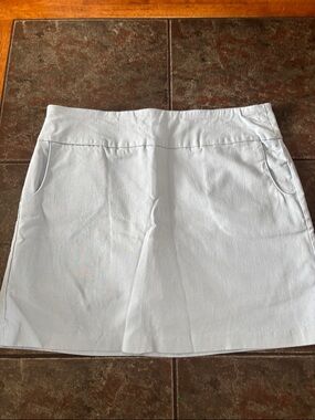 Zac & Rachel Petite Pale Blue Skirt/ Skort